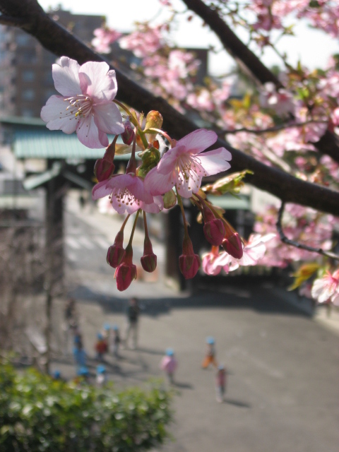 負けちゃいられない！！